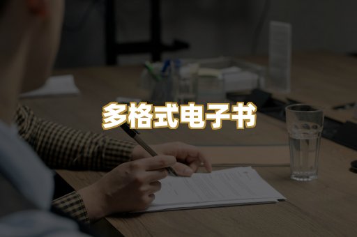 多格式电子书